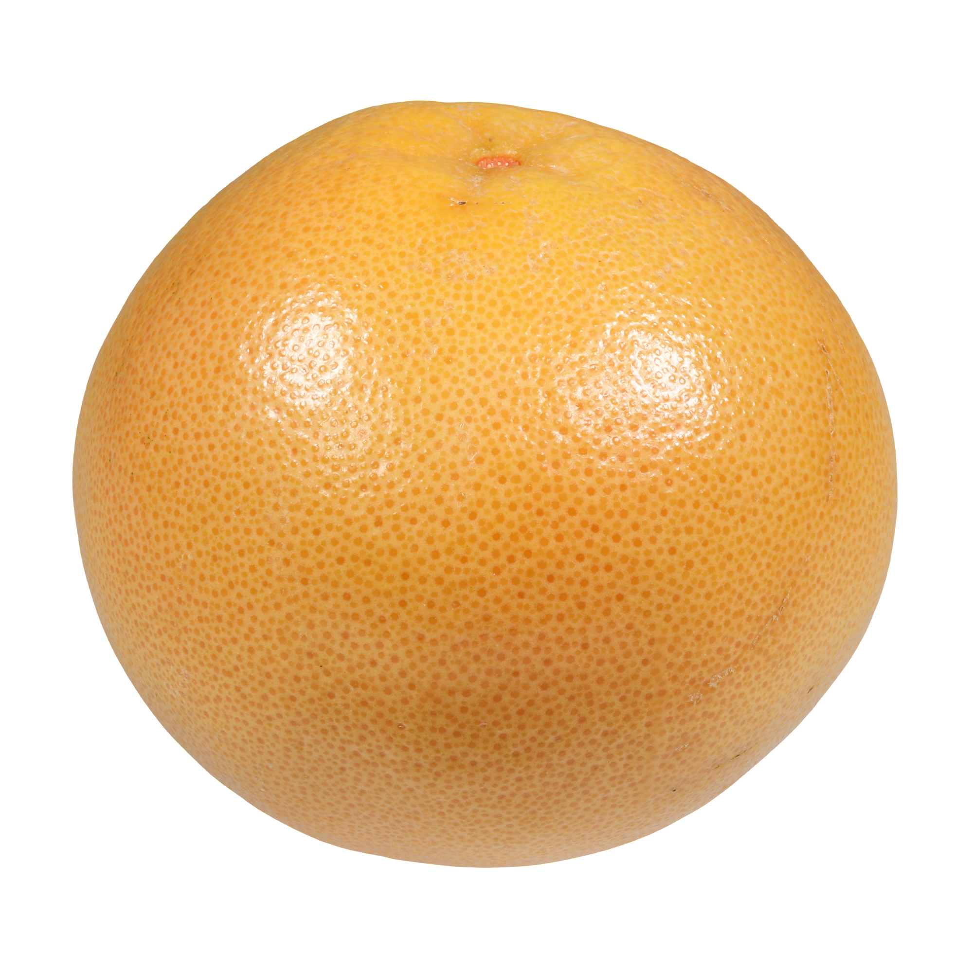 Grapefruit | Rancho Vasquez 1703 Ranch Rd. Azusa, CA 91702