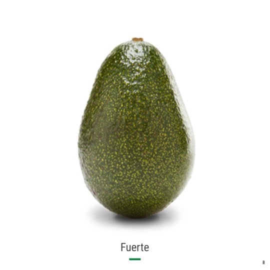 Fuerte Organic Avocado | Rancho Vasquez 1703 Ranch Rd. Azusa, CA 91702