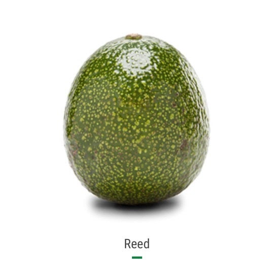 Reed Organic Avocado Rancho Vasquez 1703 Ranch Rd. Azusa, CA 91702